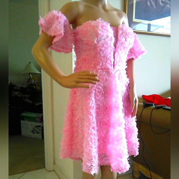 BNWOT DRESSY DRESS BY FAERIESTY SOFT PINK SZ. XL W/ 3D FLOWERS STRAPLESS LINED - Picture 4 of 11